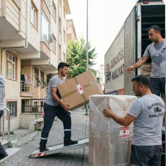 dumanoğlu nakliyat profesyönel ekip çalışma görseli